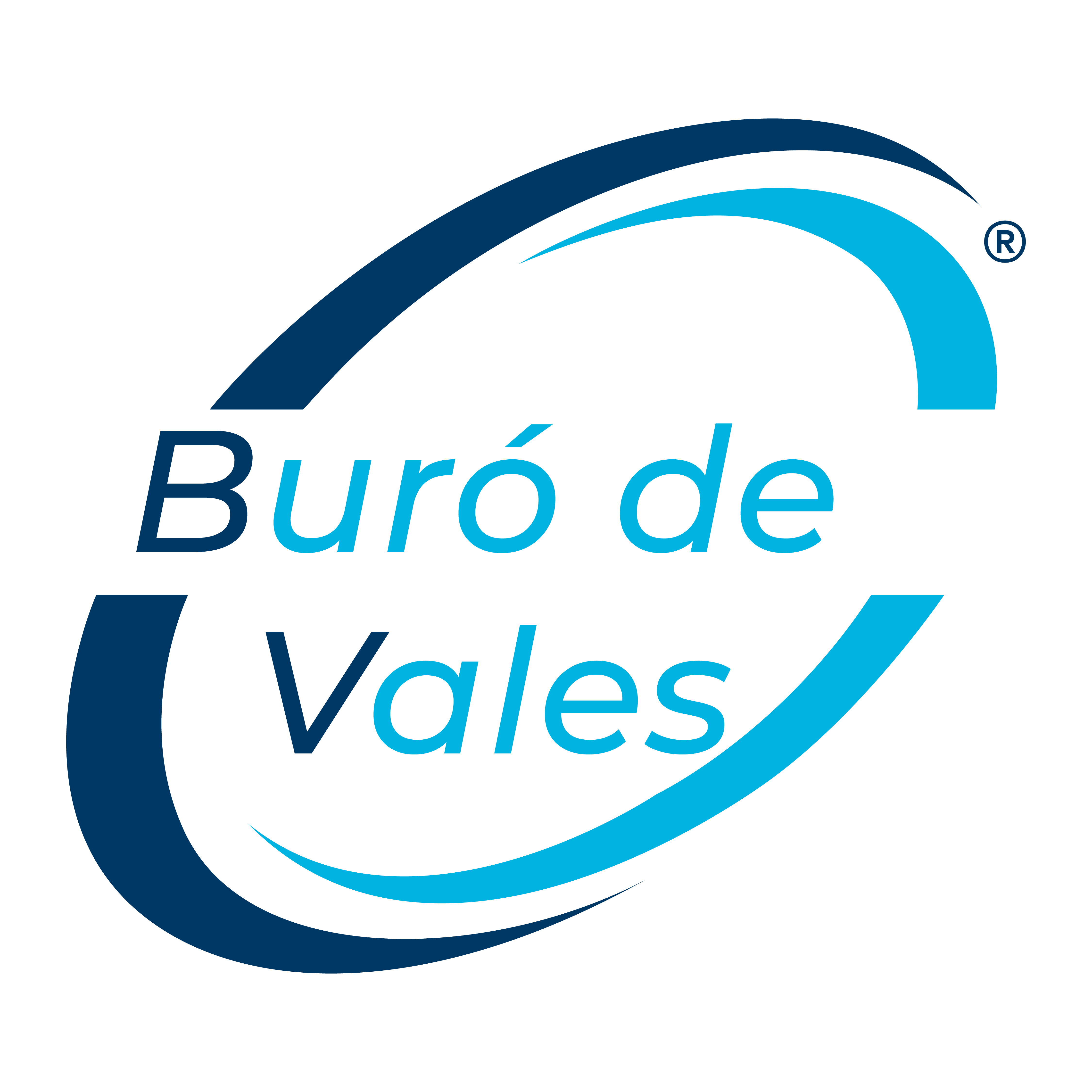 Buró de Vales